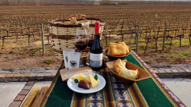 Disfrutar del picnic Saurus en Bodega familia Schroeder