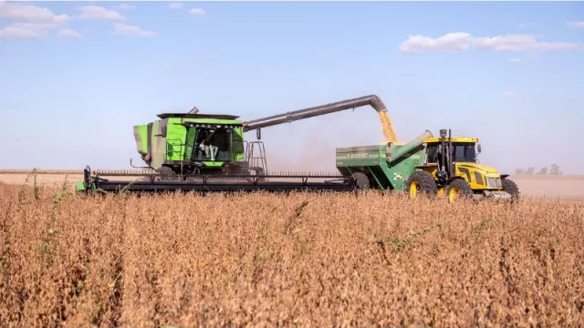 Un pronóstico de sequía y menores lluvias ensombrece la campaña de trigo