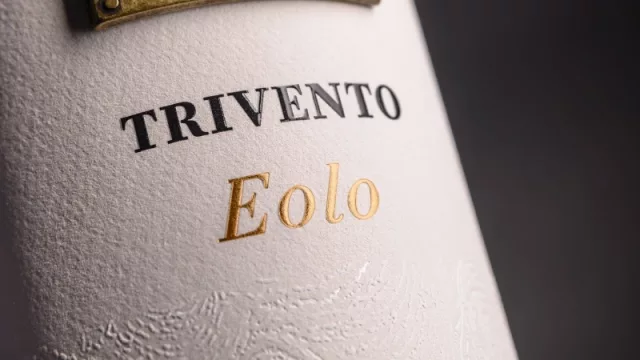 Eolo Malbec, nacido de un viñedo centenario con la sabiduría del tiempo