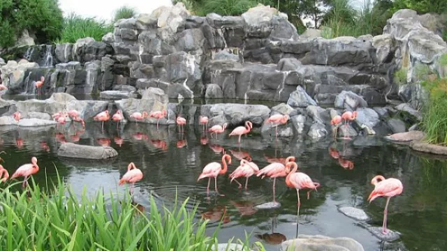 Temaiken (el no-zoológico) cumplirá 20 años de trabajo por la conservación de la naturaleza