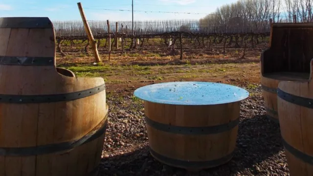 Río Negro recibe al Encuentro Regional de Turismo del Vino de la Patagonia