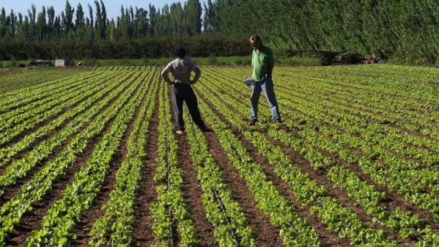 Inscriben para acceder a la exención del pago del impuesto Inmobiliario los predios de producción agraria