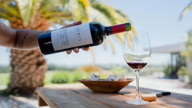 Saurus Barrel Fermented Cabernet Franc (nueva edición limitada)