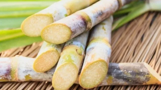 Una buena para el norte grande: los gobernadores lograron un mejor precio para el bioetanol de caña de azúcar