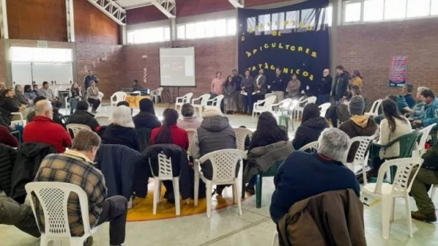 La miel neuquina (un producto de exportación) que se festejó en el 4° encuentro patagónico de apicultores
