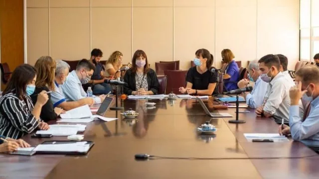 Se abre la discusión: comenzó el debate por las modificaciones a la Ley de Compre Neuquino