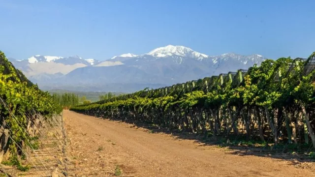 El INV publicó la estimación de cosecha 2022 para las principales zonas del país 