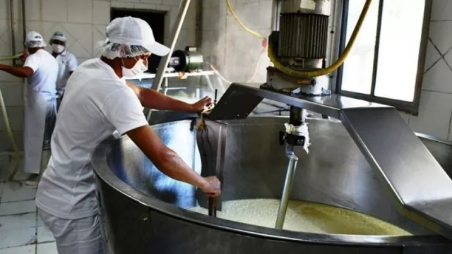 Preocupación en Misiones por la grave caída en la producción de leche