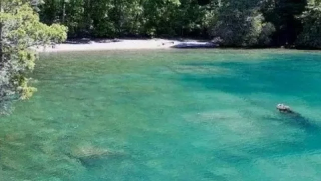 Avanza la definición de la marca Patagonia Argentina (iniciativa de gobernadores con apoyo del CFI)