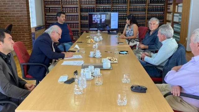 Acuerdo básico para la creación de la Federación de Profesionales de la provincia de Neuquén