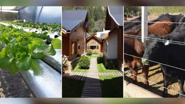 Asistencia financiera para la reconversión productiva de la región (por $  3.645.000)