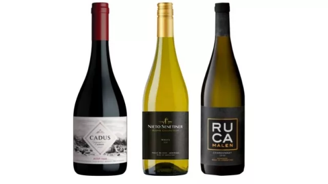 Día del Vino: crece el consumo entre las mujeres