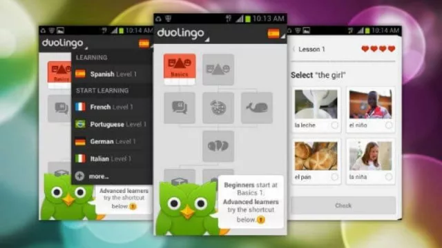 40 millones de personas “juegan” a Duolingo en el mundo (por qué hay tantos yanquis aprendiendo Español)