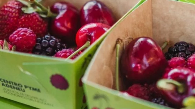 Productores de frutas finas de Plottier buscan trabajar de forma asociativa