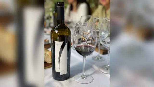 Dos Cielos 2019: nueva añada de un vino que hizo historia