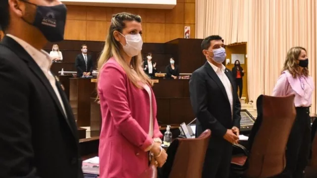 La Legislatura de Neuquén pide a YPF invertir para industrializar hidrocarburos en la provincia