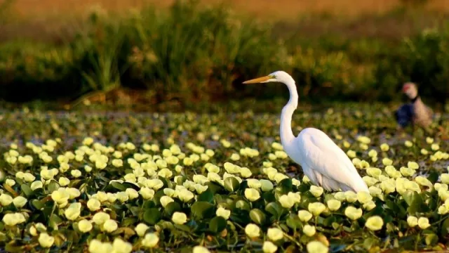 Con un 90% de los hoteles reservados, Corrientes se prepara para el fin de semana largo