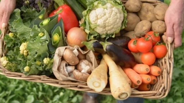 Producción orgánica: el camino para una agricultura y ganadería más amigable con el medioambiente