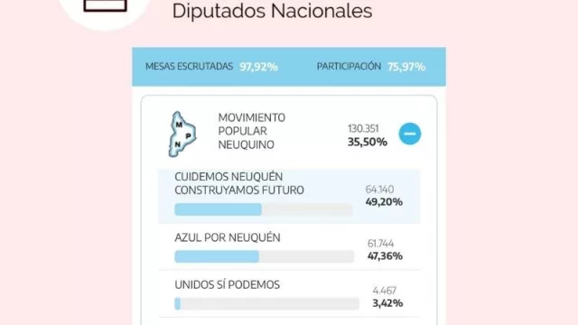 PASO 2021: Los resultados (casi) definitivos en Neuquén dan por ganador al MPN