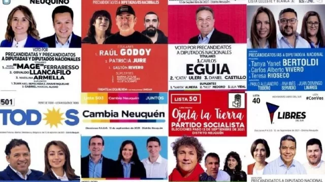 PASO 2021: Las particularidades de las primeras elecciones en pandemia (cómo se organiza la provincia)