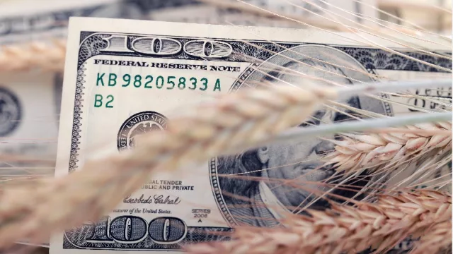 Nuevo récord del campo: entre enero y agosto ingresaron u$s 10.000 millones más que en 2020, ¿qué significa para la economía?