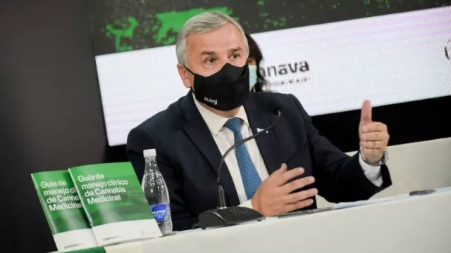 Hacia el “Silicon Valley cannábico”: la Guía de manejo de Cannabis Medicinal no solo es eso