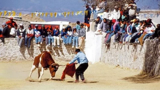 Turistas para 2022: el Toreo de la Vincha de Casabindo permitirá 250 personas