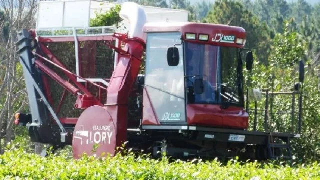 La mecanización en la cosecha de yerba mate en Misiones (con Metalúrgica Lory)