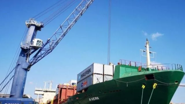 La producción de hortalizas en la región no es tarea sencilla: cómo influye la incertidumbre financiera en el comercio de agroalimentos