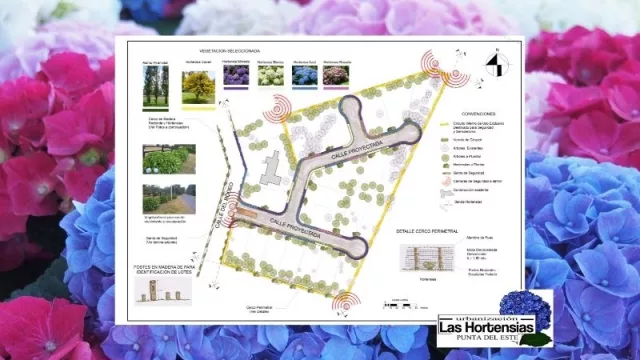 Algo florece en Parque Burnett (se viene la urbanización Las Hortensias con US$ 1 millón)