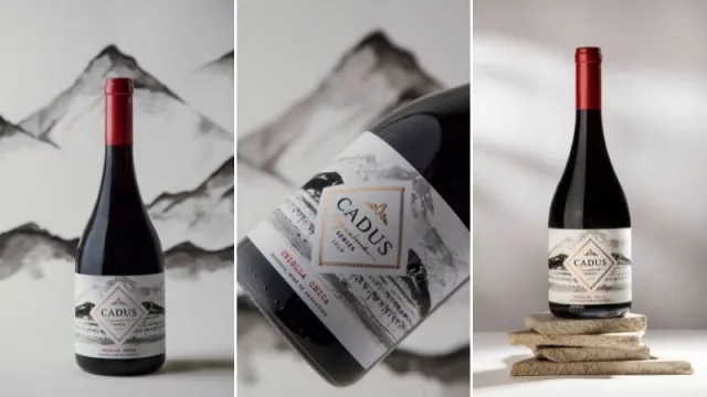 Uva criolla: un vino que continúa escribiendo su historia