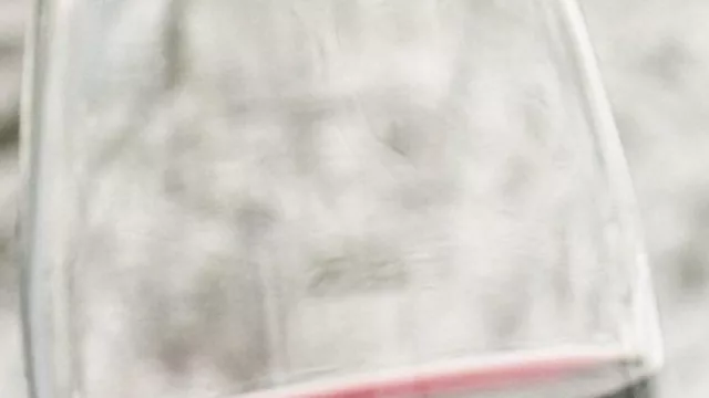 Neuquén continúa trabajando para proteger la marca “Patagonia argentina”