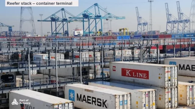 Estrategia para incrementar negocios mendocinos en Europa  a través de Bélgica 