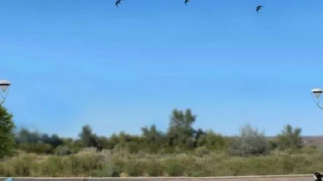 Neuquén ya tiene 6 proyectos aprobados por el Banco Interamericano de Desarrollo (BID)