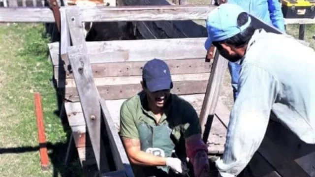 Chaco avanza en la implementación del Plan Ganadero 2030 con nuevas acciones