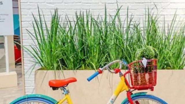 Google te está buscando para formar parte de su nuevo centro de ingeniería: qué se necesita para aplicar