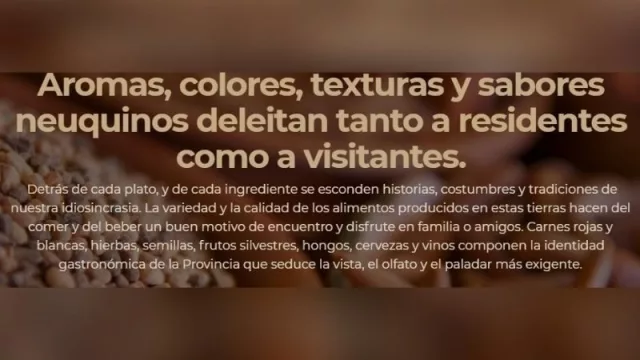 #SalvemosLosRestaurantes: se reunieron representantes gastronómicos de Neuquén para fortalecer el sector
