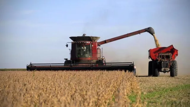 Más control a exportadores de granos: deberán liquidar en forma automática los tributos de sus operaciones