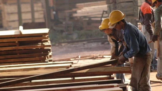 La madera es considerada un nuevo bitcoin y registra una creciente demanda en el exterior