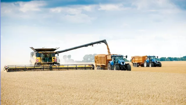 Trimestre histórico para las exportaciones de soja con más de u$s 5000 millones