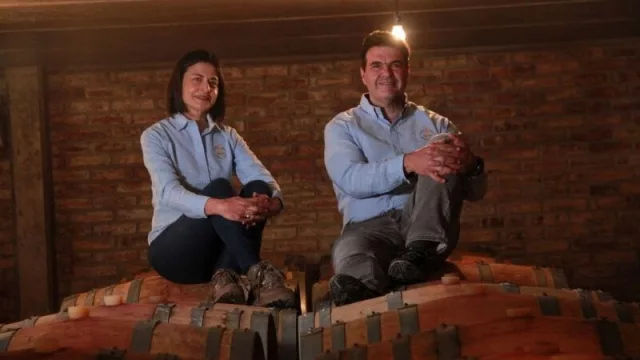 Vanguarvid, la plataforma digital que une a los actores del vino 