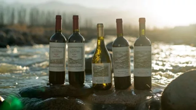 Colosso Wines y Sottano agrandan porfolio de ventas