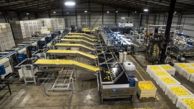 Premian al Grupo Lucci por la aplicación de un destacado método japonés