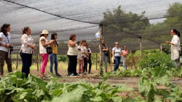 El camino que transitaron mujeres chaqueñas para generar espacios de igualdad