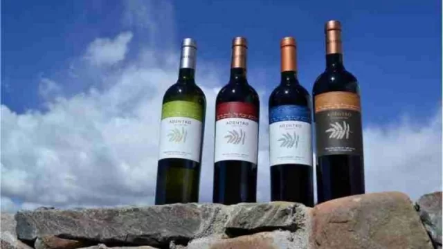 Desde el otro lado del mundo destacaron la producción de Vinos de Cachi Adentro