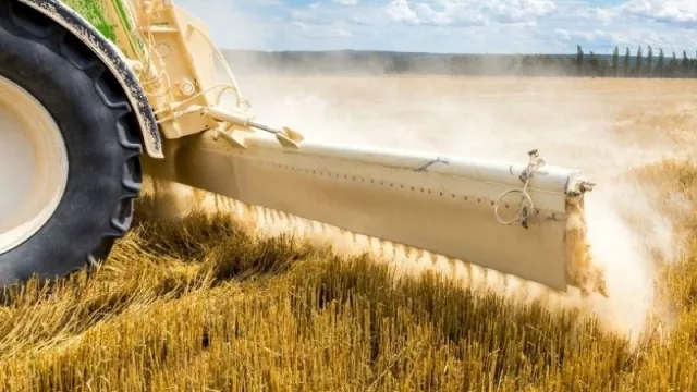 Industriales solicitan mayor control fronterizo para potenciar producción de cal agrícola