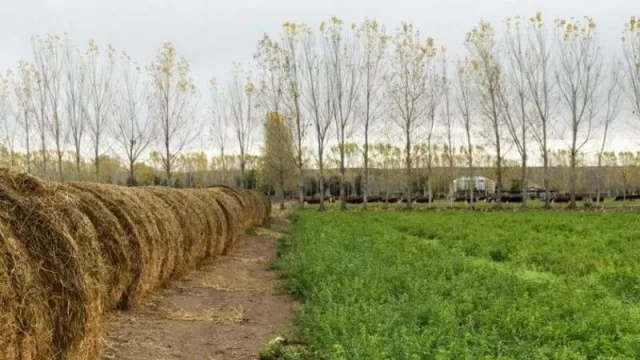 El Programa de Financiamiento de la Diversificación Productiva avanza a paso firme