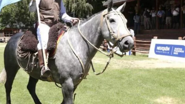 Omar Gutiérrez destacó la elaboración del Plan Ganadero Bovino provincial