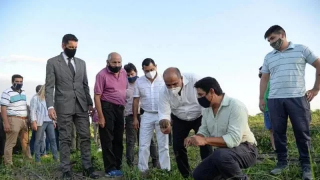 Cooperativa tucumana recibió inversión millonaria para una fábrica de batata  