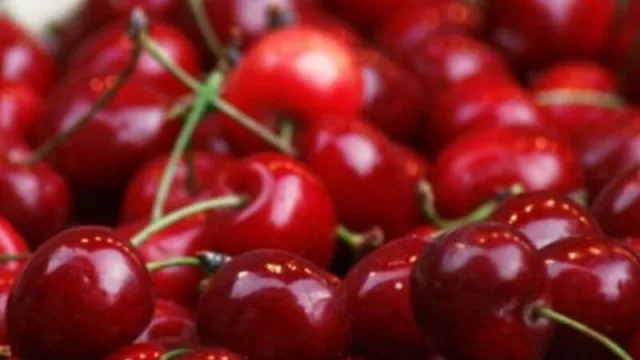 La exportación de cerezas neuquinas aumentó un 87% (China/Hong Kong, EEUU y Emiratos Árabes, los destinos)